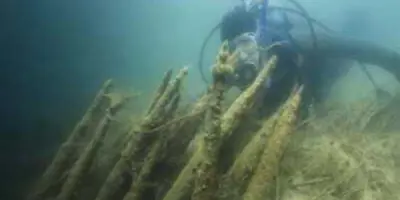 A scuba diver investigates historic fishing spikes along the Trent Severn Waterway