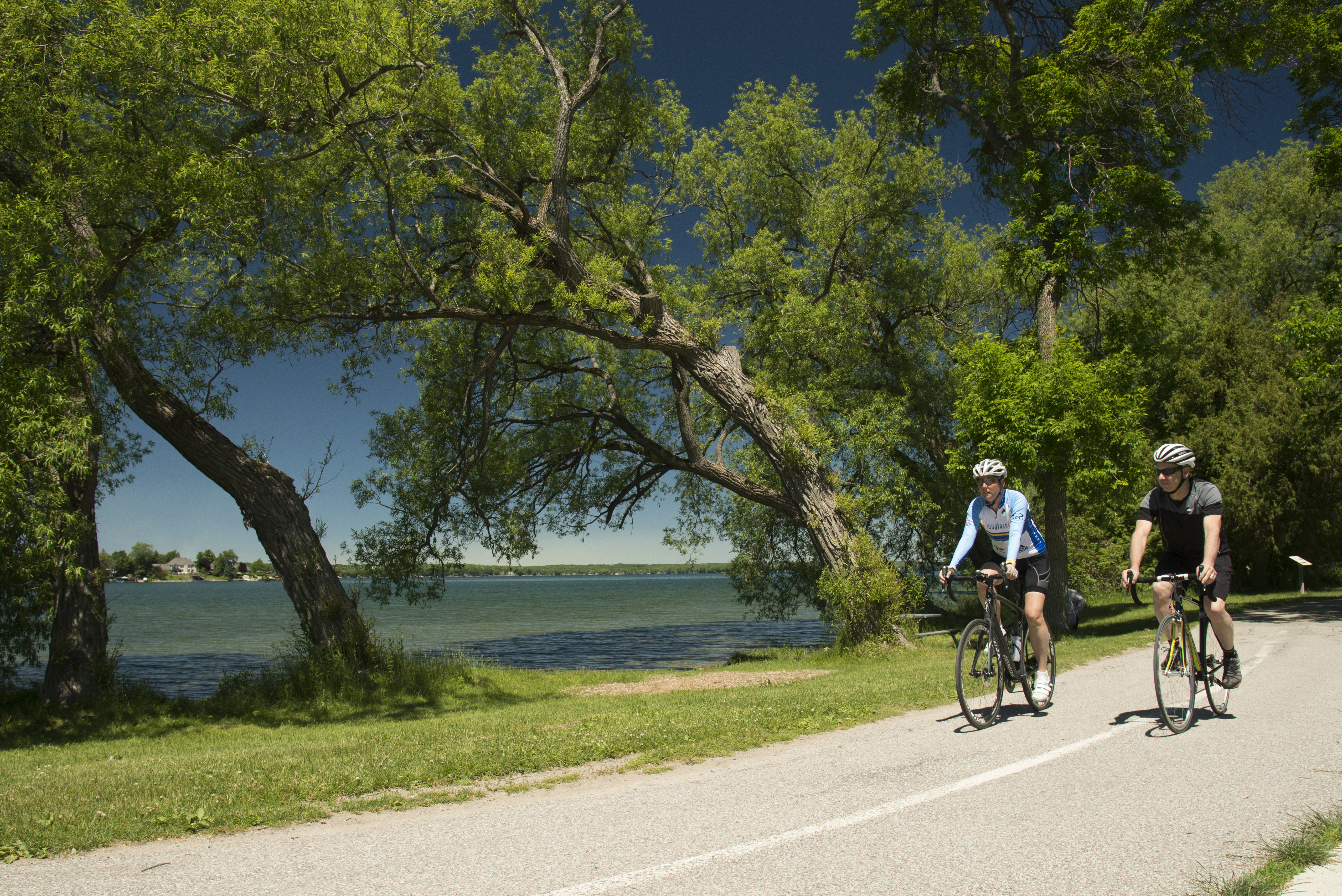 Two cyclists ride along a scenic waterfront trail in Orillia, with lush green trees arching overhead and Lake Couchiching visible beside the path.